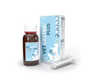 VetGastril Plus, при стомашни и чревни неразположения, 50 мл