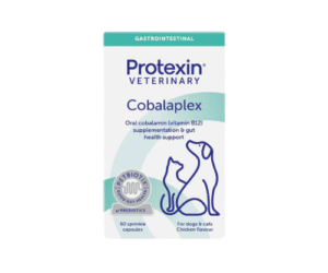 Cobalaplex- За поддържане на кобаламин и фолиева киселина