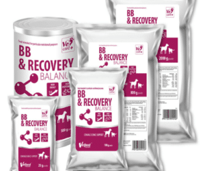Vetfood, BB Recovery Balance, ускорява възстановяването