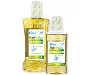 Vetfood Maxi OraCare Healthy Gums