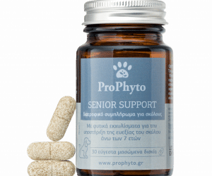 ProPhyto, Senior Support, овкусени таблетки за възрастни кучета, 30 таблетки
