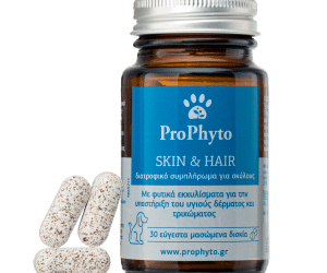 ProPhyto, Hair and Skin, овкусени таблетки за здрави козина и кожа, 30 таблетки