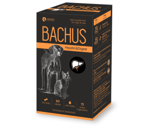 Bachus, за здрав черен дроб и храносмилане