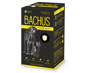 Bachus, за имунитет и защита