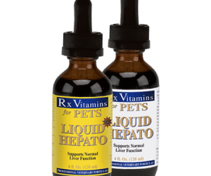 RX Liquid Hepato, за нормално функциониране на черния дроб, 120 мл