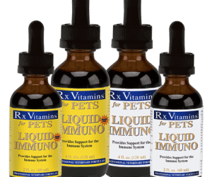 RX Liquid Immuno, за подсилване на имунната система