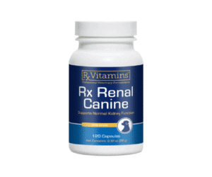 RX Renal Canine- за здрави бъбреци при кучетата