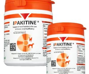 Добавка при бъбречна недостатъчност при кучета, котки, Vetoquinol Ipakitine