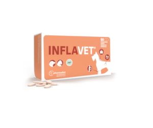 Inflavet, противовъзпалително средство, 60 таблетки