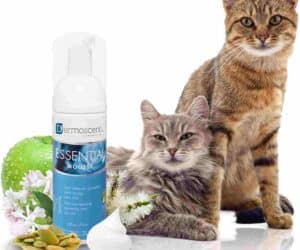 Dermoscent Essential, сух шампоан за котка, мус, 150 мл - 2 (2)