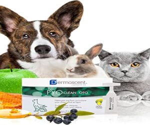Dermoscent Pyoclean Oto, грижа за ушите, 10 дози x 5 мл - 4
