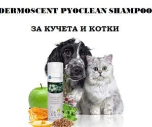 Dermoscent Pyoclean, лечебен шампоан при кожни инфекции, 200мл - 3 (2)