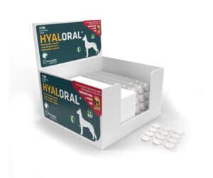 Hyaloral, за профилактика и лечение на ставни заболявания, 12 таблетки