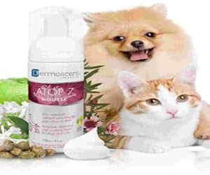 Dermoscent Atop 7, сух шампоан за кучета и котки, мус, 150 мл - 2