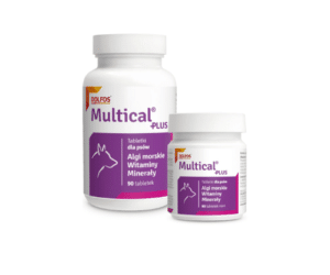 Dolfos Multical Plus, витамини и минерали за кучета
