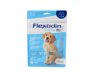 Flexadin Young Dog Maxi- за подрастващи от едри породи