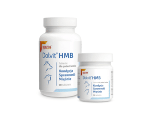 Dolvit HMB- за възстановяване и благосъстояние