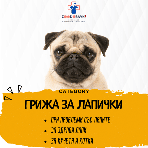 Грижа за лапички при домашните любимци