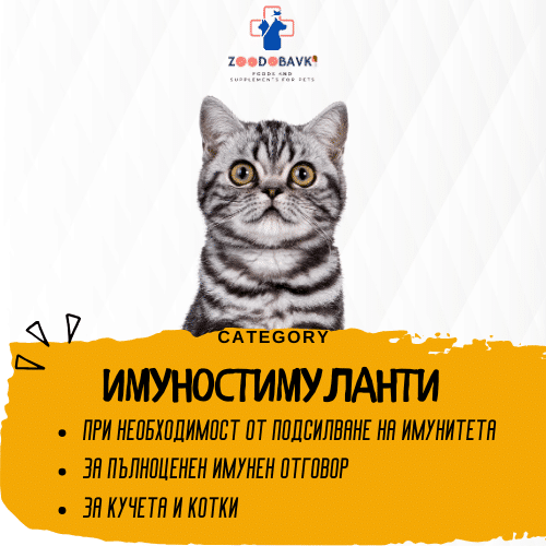 Имуностимуланти за домашни любимци