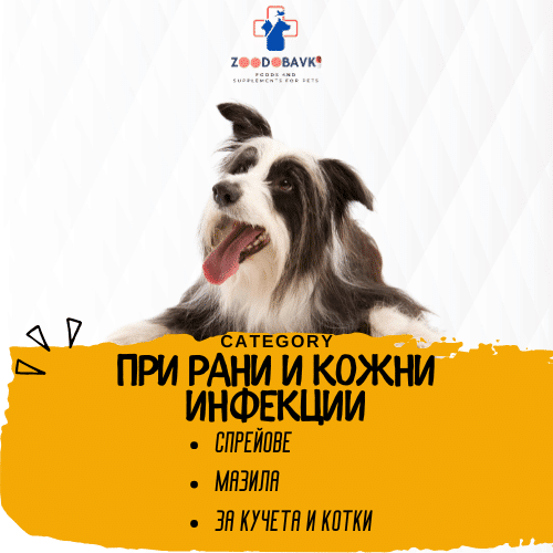 Рани и кожни инфекции