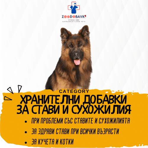 Хранителни добавки за Стави и сухожилия