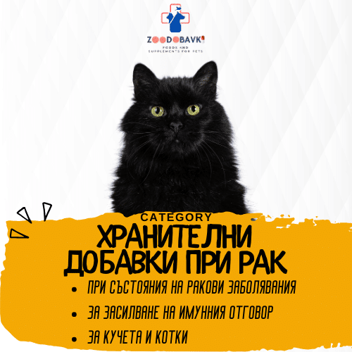 Хранителни добавки при Ракови заболявания на домашните любимци