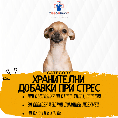 при стрес- антистрес