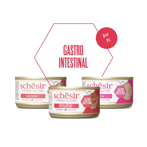 Schesir Veterinary Solutions Gastrointestinal – комплект диетични храни 240 г