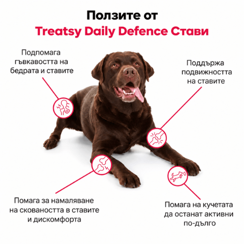 Treatsy Daily Defence Hip & Joint за стави и подвижност