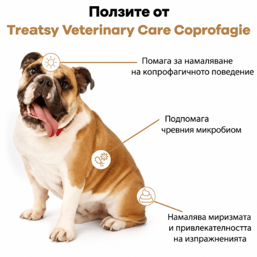 Treatsy Veterinary Care Coprophagia – подкрепа при ядене на изпражнения