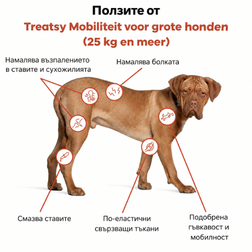 Treatsy Veterinary Care Mobility – подкрепа за стави при големи кучета