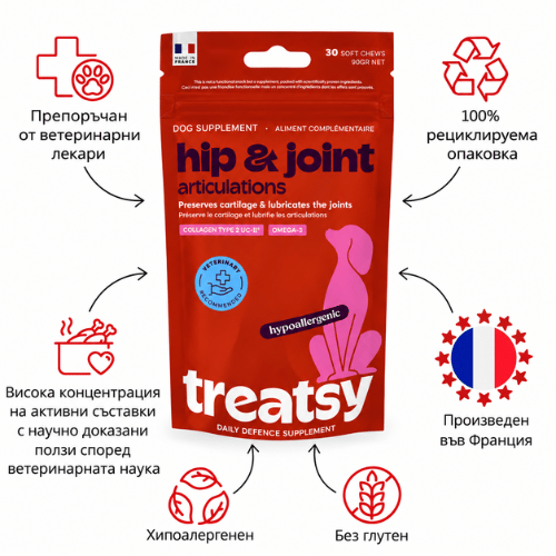 Червена опаковка Treatsy Daily Defence Hip & Joint за стави и подвижност (2)